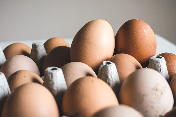 Are eggs healthy?